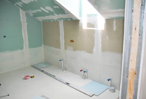 Best Asbestos and Lead Testing During Mold Inspection  in Grand Marais, MN