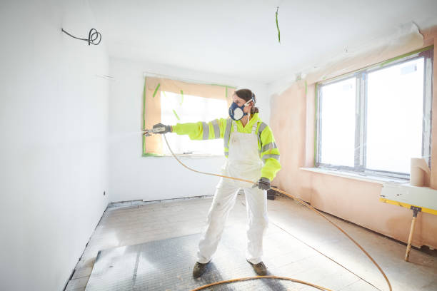  Grand Marais, MN Mold Removal Pros