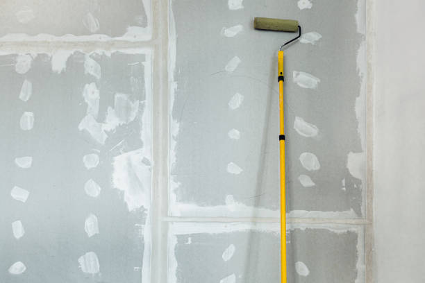 Best Black Mold Removal  in Grand Marais, MN