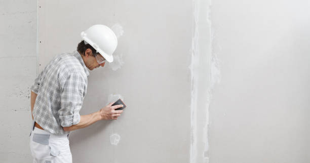 Best Mold Documentation for Insurance Claims  in Grand Marais, MN