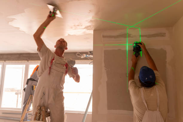 Best Mold Remediation for Healthcare Facilities  in Grand Marais, MN