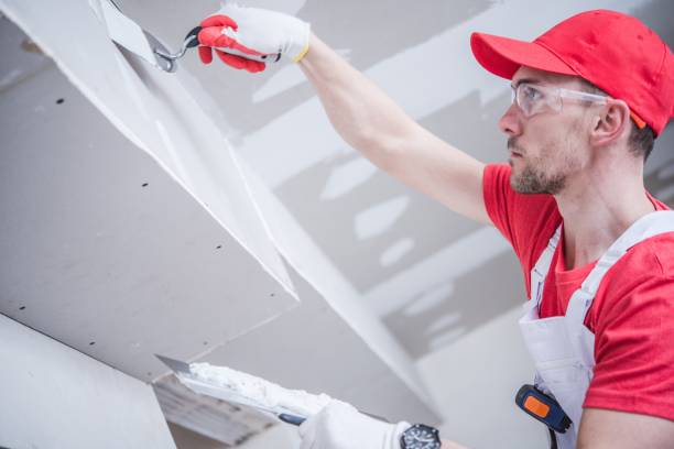 Best Industrial Mold Remediation  in Grand Marais, MN