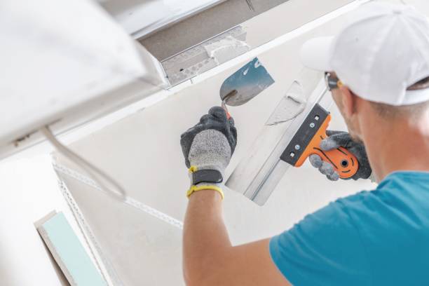 Mold Odor Removal Services in Grand Marais, MN